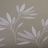Evasion white 01