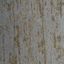 Lussuria Grau 02